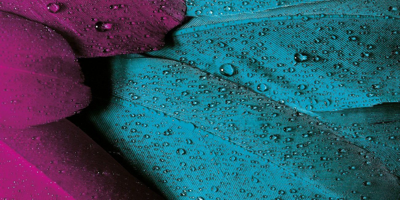 Planowanie stanów magazynowych Amazon